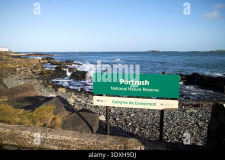portrush National Nature Reserve, County antrim, Nordirland, vereinigtes königreich der Felsabschnitt enthält viele Fossilien im freiliegenden Gestein Stockfoto