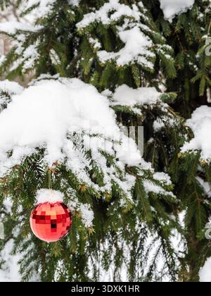 Rote weihnachtskugel auf schneebedeckter Tanne im Stadtpark im Freien am Wintertag Stockfoto