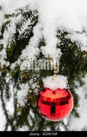 Rote Weihnachtskugel Nahaufnahme auf Tannenzweig im Stadtpark im Freien am Wintertag Stockfoto