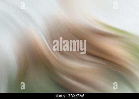 Abstrakte, unscharfe Bewegungen mit weiß- und Beigetönen für einen weichen und traumhaften Hintergrundeffekt Stockfoto