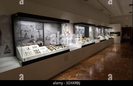 Antequera, Spanien 17. Dezember 23: Panoramablick auf eine Galerie des Archäologischen Museums mit Vitrinen prähistorischer Artefakte in Antequera, Andalusien, Spanien Stockfoto