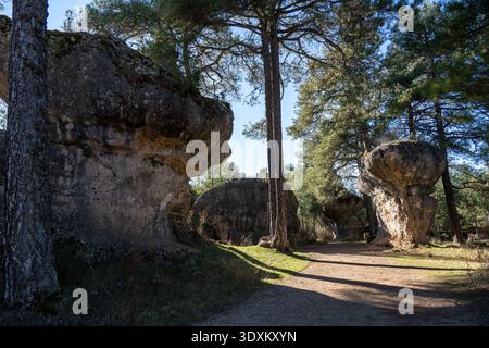 Schotterweg durch Kiefernwälder mit großen Kalksteinblöcken und erodierten Felsformationen in La Ciudad Encantada bei Cuenca, Spanien. Stockfoto