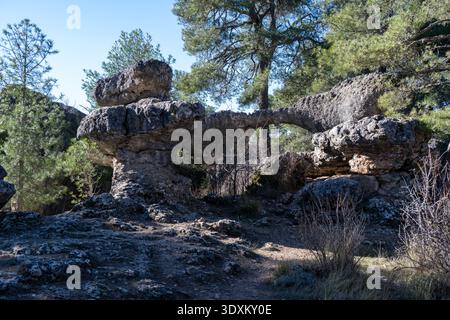 Natürlicher Kalksteinbogen und Felsbrücke durch Erosion in La Ciudad Encantada, Cuenca, Castilla-La Mancha, Spanien, umgeben von Kiefern. Stockfoto