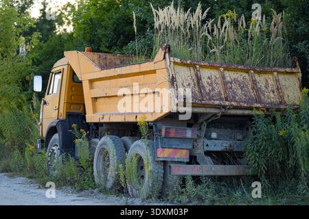 Verlassener, rostiger Muldenkipper mit bewachsenem Gras auf dem Laderaum, der auf der Landstraße steht und von wilder Vegetation und Bäumen umgeben ist Stockfoto
