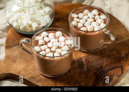 Süße Bio-Kakao-Schokolade mit Marshmallows in einer Tasse Stockfoto