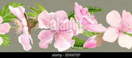 Sakura Blumen horizontale nahtlose Bänder Aquarell, rosafarbene Töne, handgemalte natürliche botanische Stil. Perfekt für Hochzeitseinladungen, Frühlingskarten Stockfoto