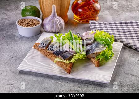 Vorspeise mit eingelegtem Hering auf dunklem Roggenbrot mit Salat und Zwiebeln. Serviert auf einem weißen Teller auf grauem Hintergrund mit Knoblauch und Gewürzen. Rustikales Foo Stockfoto