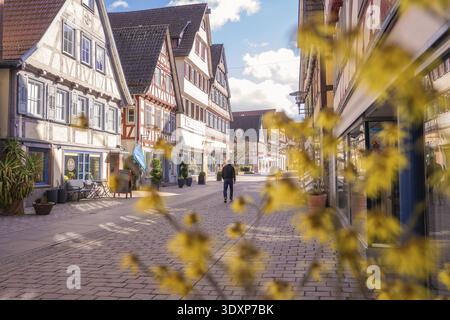 Man spaziert durch eine ruhige Straße mit traditionellen Fachwerkhäusern und blumigem Vorderboden, Calw, Bezirk Calw, Deutschland Stockfoto