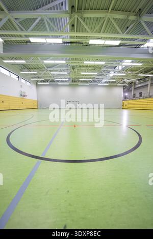 Blick auf einen leeren Handballplatz mit Toren in einer großen Sporthalle, Handball, Calw, Deutschland Stockfoto