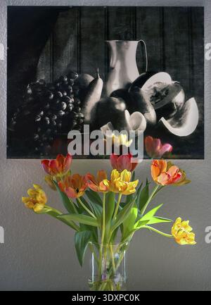 Tulpen (Tulipa) in einer Glasvase vor einem Sillleben-Foto, Bayern, Deutschland Stockfoto