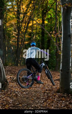 Ein erfahrener Mountainbiker fährt mit Helm und Schutzausrüstung durch einen mit Blättern übersäten Waldweg. Das Herbstlaub erzeugt warme Töne, während der Fahrer durch eine Kurve auf rauem Gelände fährt. || Modell freigegeben Stockfoto