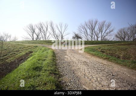 Gabel auf einer unbefestigten Straße, auf einem Damm, mit Bäumen, an einem sonnigen Tag in der italienischen Landschaft Stockfoto