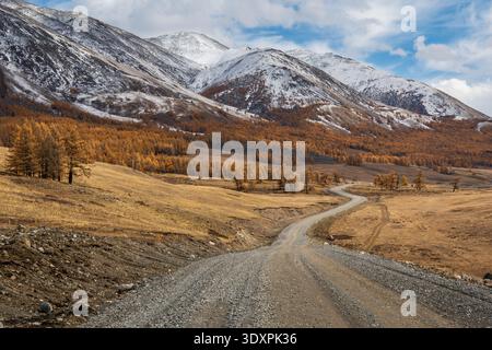 Gewundene Schotterstraße durch goldenen Lärchenwald zu schneebedeckten Gipfeln, abgelegener Herbstlandschaft und offenem Tal. Malerisches, friedliches, raues Gelände. Stockfoto