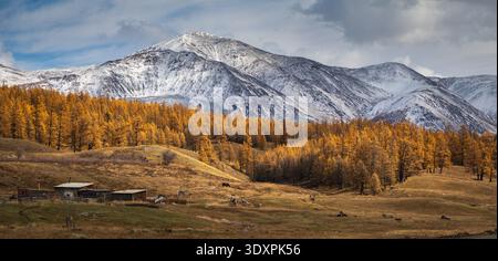 Schneebedeckte Berge und herbstlicher Wald mit rustikalen Hütten in ländlicher Landschaft friedlicher Atmosphäre Stockfoto