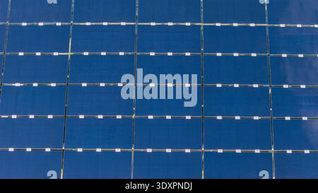 Die detaillierte Textur der Solarpaneele und das geometrische Erscheinungsbild der Zellen auf ihrer blauen Oberfläche. Hintergrund- und Texturaufnahme für Energietechnologie Stockfoto