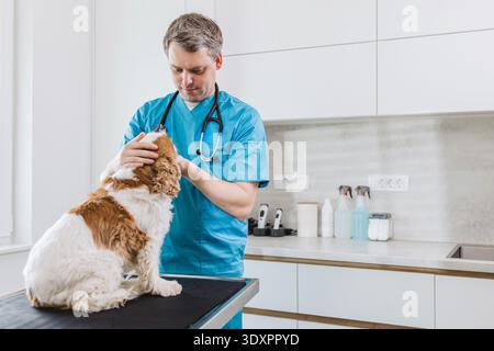 Der professionelle Tierarzt überprüft die Gesundheit eines Hundes auf einem Untersuchungstisch in einer tierärztlichen Klinik. Stockfoto