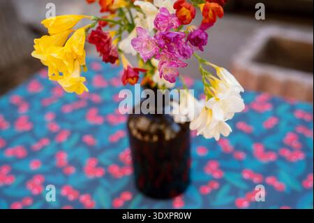 Strauß aus farbenfrohen Frühlingsfriesenblüten in einer dunklen Glasflasche auf einem gemusterten Tisch. Stockfoto