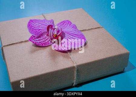 Nahaufnahme Geschenkbox mit rosa Orchideenblume auf blauem Hintergrund. Null-Abfall-Konzept. Kopierbereich Stockfoto