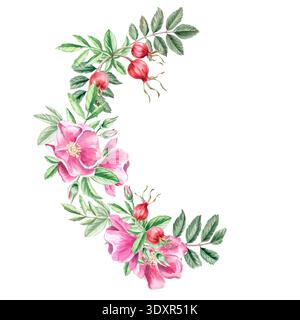 Ein halbrunder Ast mit Hüften und Blüten. Isolierte Aquarellillustration für Kräutertee-Designs, kulinarische und naturbezogene Branding Stockfoto