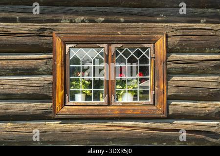 Blick auf ein rustikales Holzfenster, das leuchtend rote Geranien in weißen Töpfen reflektiert, vor dem verwitterten Holz eines alten Gebäudes, Heddal, Telemark, Stockfoto