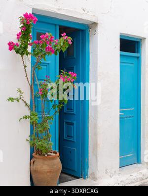 Blaue Türen mit Bougainvillea in einer Urne in Parikia, Paros, Griechenland Stockfoto