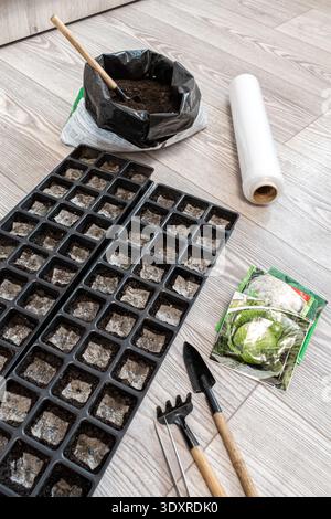 Hochwinkel-vertikaler Schuss von Gartengeräten und zwei Tabletts mit gepflanzten Kohlsamen. Wohnarbeitsplatz für die Aussaat von Pflanzen zu Hause in hellen Räumen Stockfoto