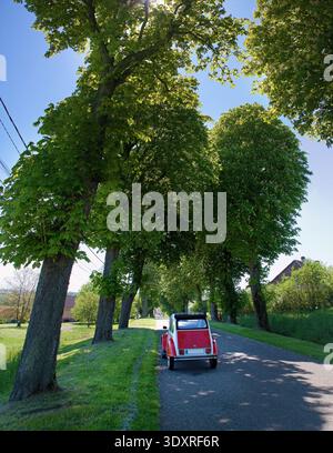 Avenue in Fénétrange, Département Mosel in der Region Grand Est, mit einem Oldtimer 2CV Stockfoto