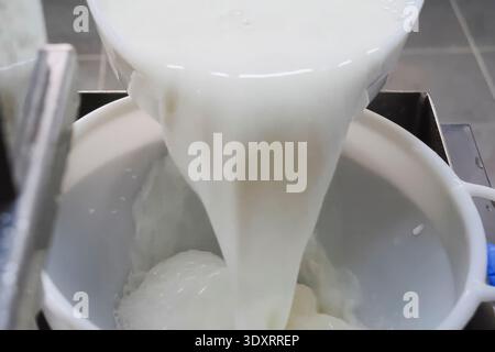 Milch auf dem Bauernhof, Kuhmilch von Schüssel zu Schüssel gießen Stockfoto