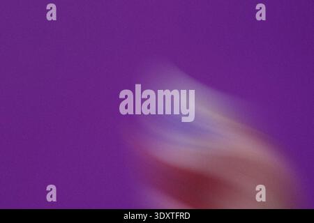 Abstraktes, unscharfes Bild mit einer Mischung aus violetten und braunen Farben für einen weichen und traumhaften Effekt Stockfoto