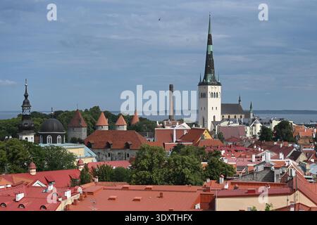 Die Altstadt von Tallinn. Tallinner Zytilandschaften. Panorama von Tallinn, Estland. Stockfoto