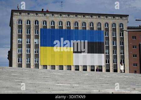 Tallinn, Estland - 24. Juli 2024: Die Flagge der Ukraine und die Flagge Estlands auf dem Buldzug auf dem Freiheitsplatz in Tallinn. Stockfoto