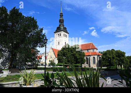 Tallinn, Estland - 24. Juli 2024: St. Nikolaus Kirche und Niguliste Museum in Tallinn, Estland Stockfoto