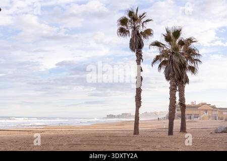 Eine ruhige Strandszene in Torrevieja, Spanien, mit Palmen auf dem Sand und den Meereswellen, die in der Ferne zusammenbrechen. Stockfoto