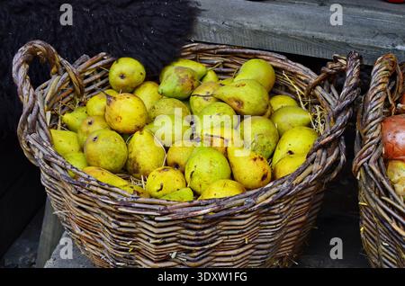 Große reife, saftige gelbe Birnen in einem Korb auf einem Hintergrund von grünem Garten Stockfoto