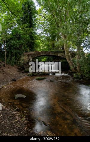 Spaltwerk Wasserfall, Staffordshire Rugeley, Großbritannien Stockfoto
