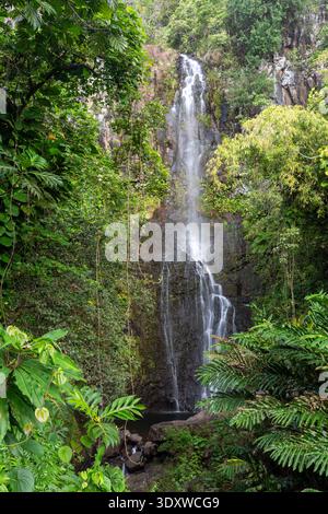 Wailua Wasserfall in Maui bei Hana Stockfoto