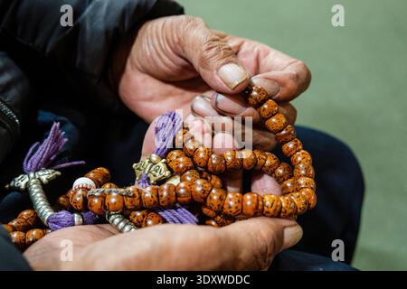 Nahaufnahme von alten Händen, die während einer Zeremonie in Hemis ein traditionelles buddhistisches Gebet mala mit dunklen Holzperlen und lila Quasten halten. Stockfoto