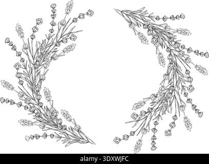 Schwarz-weiß-botanische Linienkunst von Lavendelzweigen. Detaillierte Umrissblume Illustration mit eleganten Wildkräuterzweigen, die als dekorativ angeordnet sind Stock Vektor