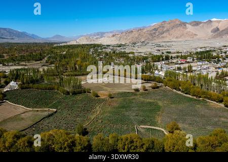 Blick über grüne Felder und Haine in Richtung der Siedlung Thiksey, mit den kargen Hängen der Ladakh Range in der Ferne. Stockfoto