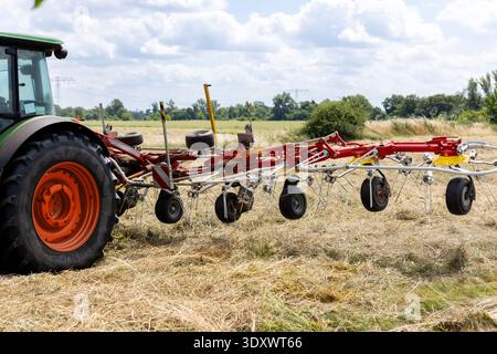 Landwirtschaftliche Maschinen Arbeitsfeld Verstreuen Trockenheu Sommer Erntezeit. Die drehbaren Metallarme des Rasens demonstrieren die moderne Landwirtschaft Stockfoto