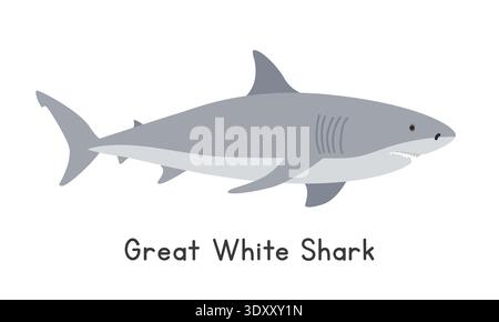 Große weiße Hai-Vektor-Illustration. Großer weißer Hai-Karikatur-Clipart, Tier im flachen Stil. Meerestiere, Unterwassertiere, Meerestiere Stock Vektor