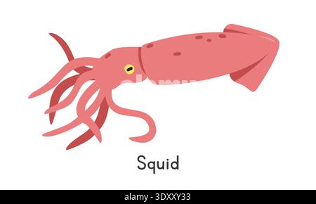 Illustration des Tintenfischvektors. Niedlicher Tintenfisch-Karikatur-Clipart, Tier im flachen Stil. Meerestiere, Unterwassertiere, Meerestiere, Meereslebewesen Stock Vektor