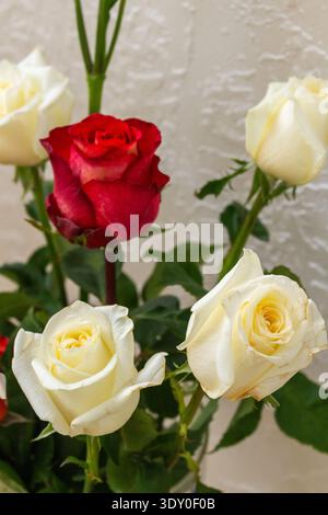 Wunderschöner Blumenstrauß mit weißen und roten Rosen. Grüne Alstroemerieknospen in klarer Vase. Romantisches Blumenarrangement Stockfoto