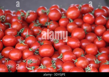 Rote Kirschtomaten auf dem Markt Stockfoto