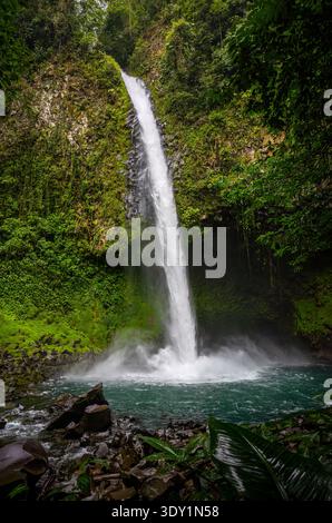 Der Wasserfall La Fortuna stürzt in einen türkisfarbenen Pool im tropischen Regenwald in der Nähe von La Fortuna in der Provinz Alajuela, Costa Rica. Stockfoto