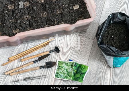 Hochwinkelansicht von Gartenwerkzeugen, Boden und Spinatsamen auf dem Boden. Vorbereitung zur Aussaat von Samen im Kunststoffbehälter zu Hause Stockfoto