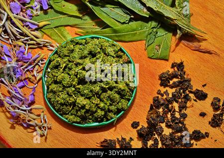 Heilpflanze des Feuerweed-Tees. Vorbereitung für den Fermentationsprozess. Stockfoto
