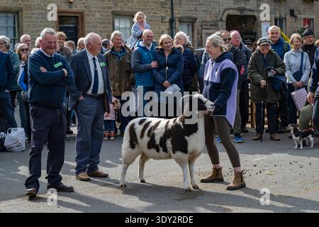 1 Jacob-Schafe, die bewertet werden, stehen mit einer Farmerin (Fleckvlies, Nutztiere, Schaf oder Widder, Menge) - Masham Sheep Fair, North Yorkshire, England, Großbritannien. Stockfoto