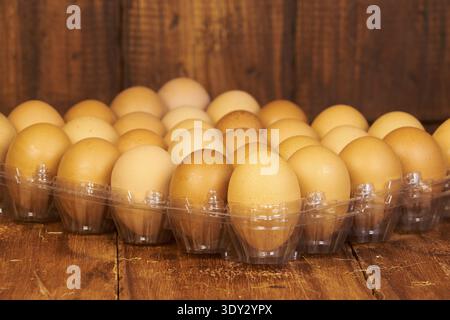 Organische braune Eier in einem durchsichtigen Plastikkarton auf einer rustikalen Holzoberfläche angeordnet Stockfoto