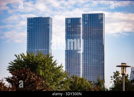 Moderne Architektur mit Glashochhäusern, die sich über grünen Parkbäumen erheben Stockfoto